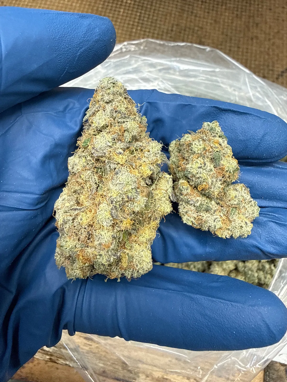 Garlic Breath Flower